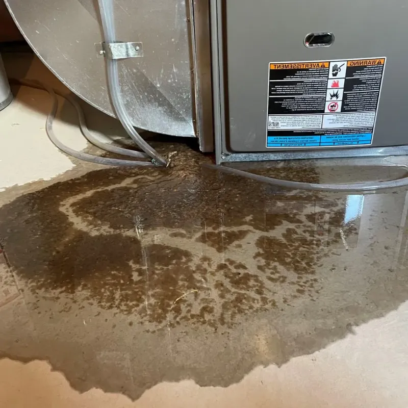 Pipe Burst and Leak Restoration in North Wildwood, NJ